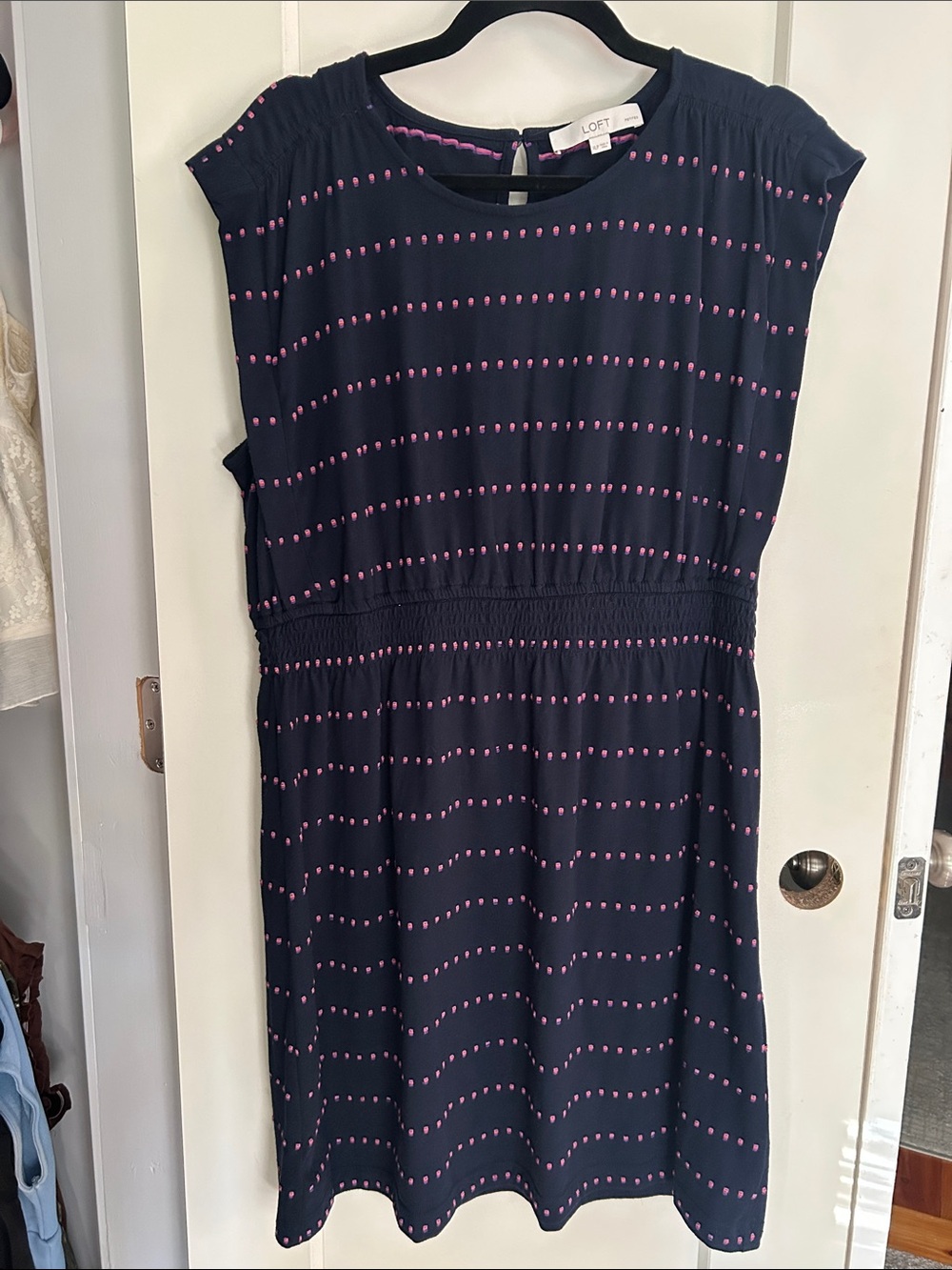 LOFT Navy Dress with Pink Dot Stripes